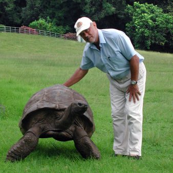 Basil George and Jonathan the oldest tortoise on St Helena