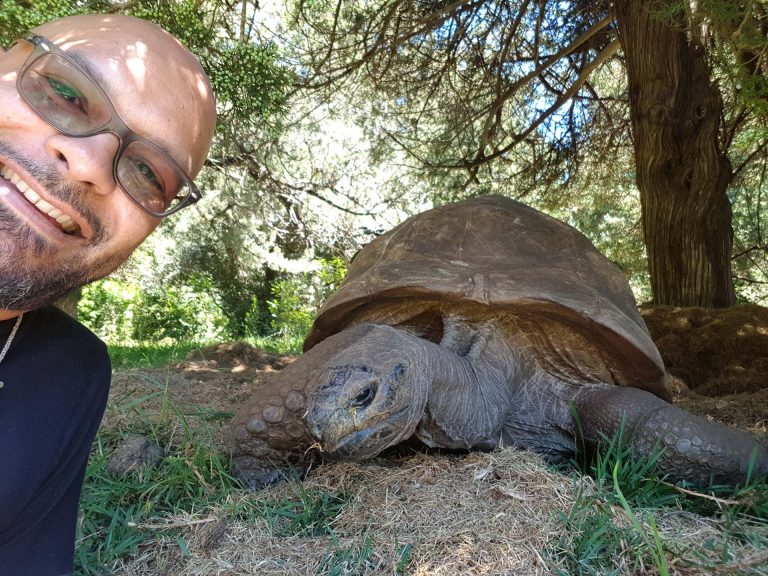 Jonathan the tortoise and a visitor